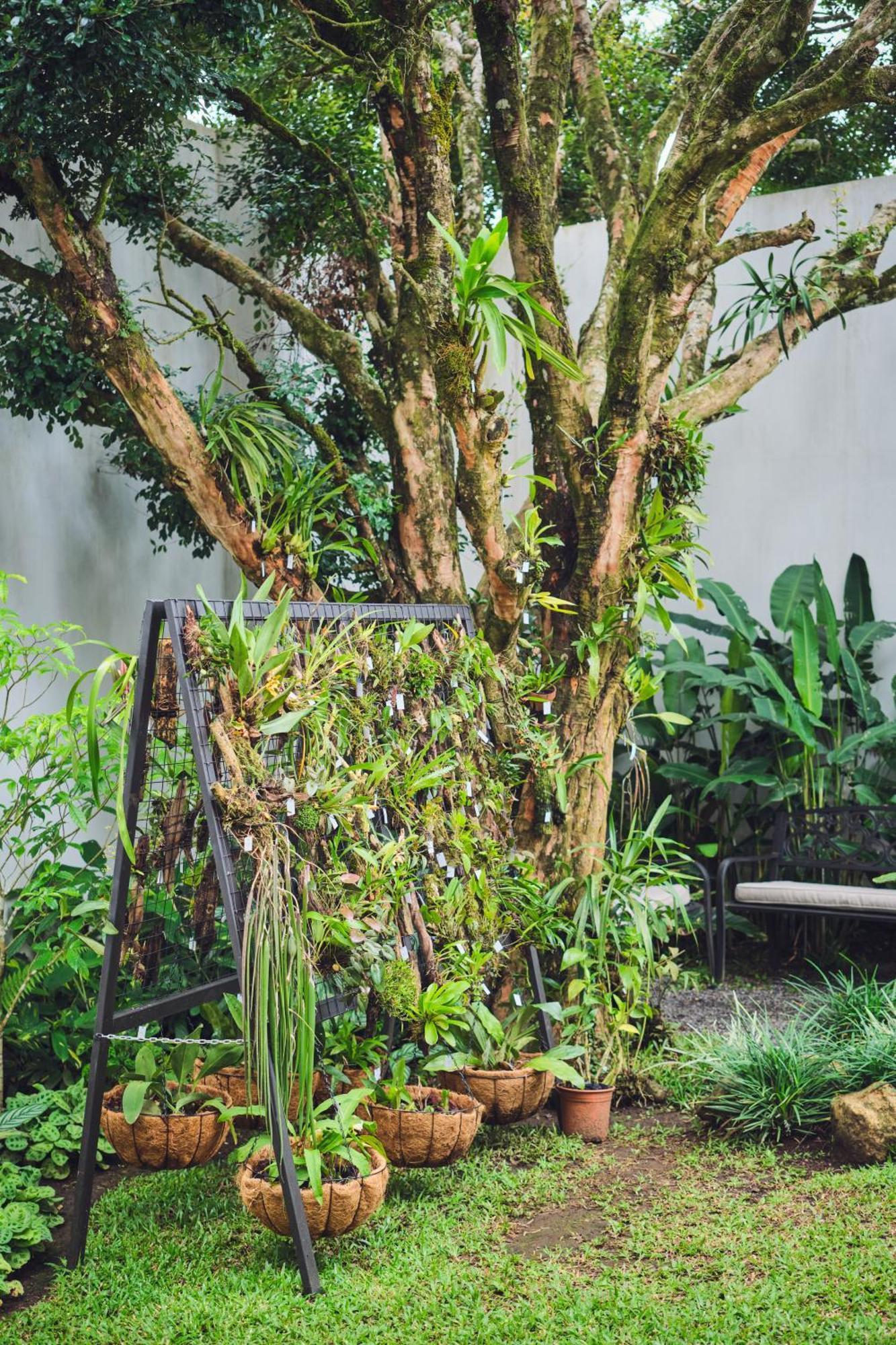 Ocotea Boutique Hotel Monteverde Bagian luar foto